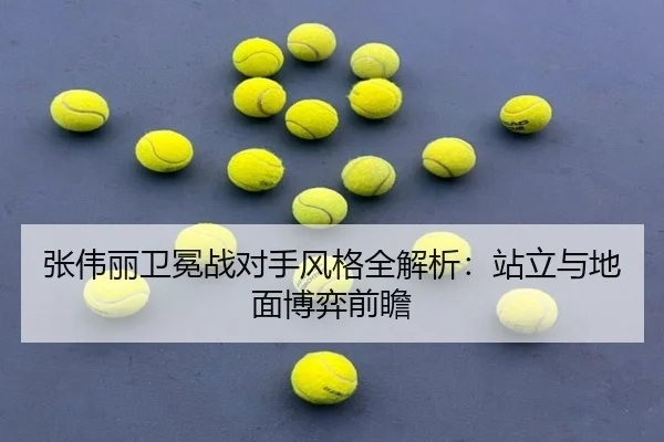 张伟丽卫冕战对手风格全解析：站立与地面博弈前瞻